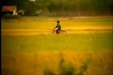 Bonjour Vietnam - Phạm Quỳnh Anh