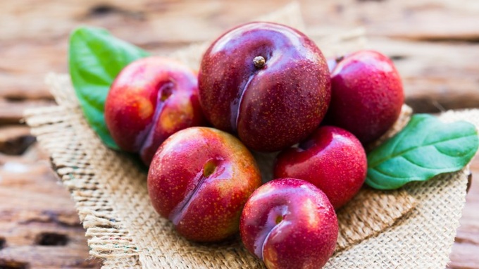 Ăn mận vào mùa hè cực tốt nhưng có những người càng ăn càng "độc", đặc biệt là 5 đối tượng này - Ảnh 2. Ăn mận vào mùa hè cực tốt nhưng có những người càng ăn càng "độc", đặc biệt là 5 đối tượng này - Ảnh 2.