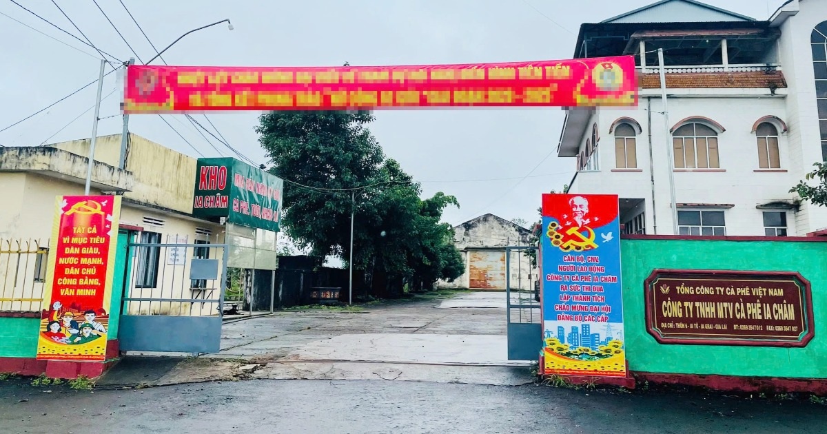 Lý do khiến cựu Chủ tịch kiêm Giám đốc Công ty cà phê Ia Châm bị khởi tố