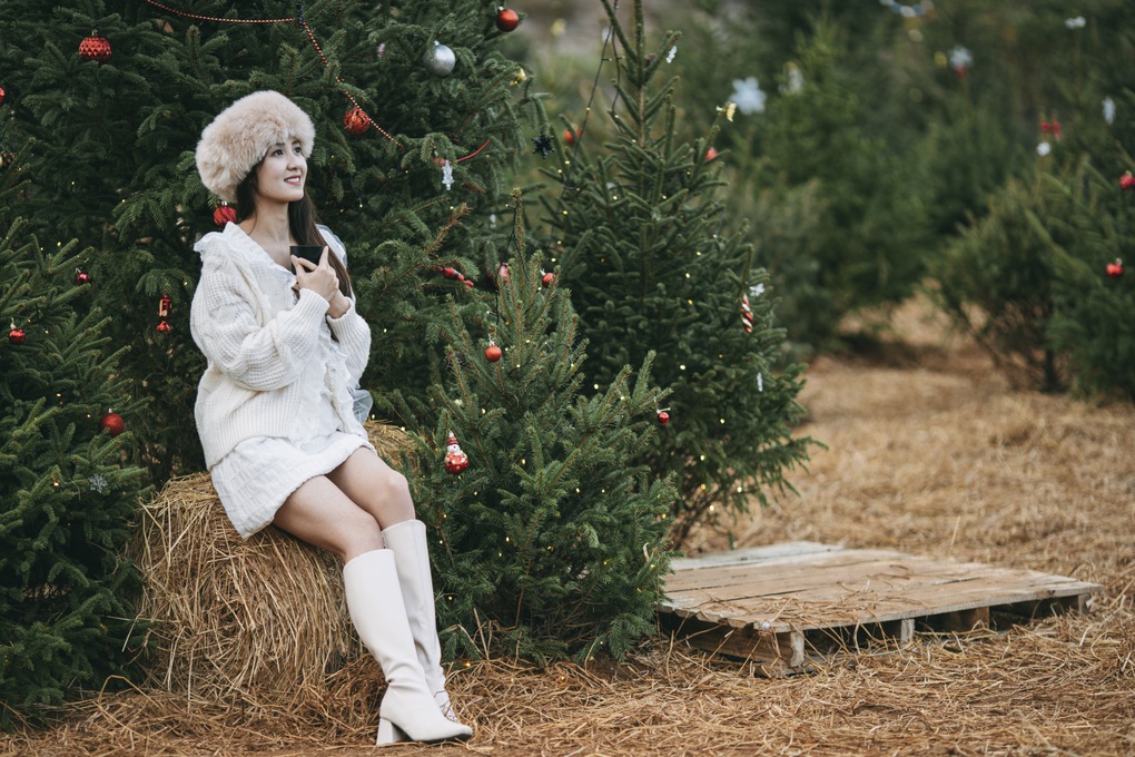 Vườn thông gần 2.000 gốc, khách đổ xô check-in ở Mộc Châu - 4 Vườn thông gần 2.000 gốc, khách đổ xô check-in ở Mộc Châu - 4