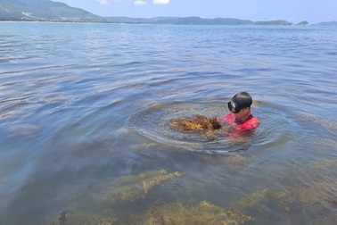 Hai người thương vong sau chuyến lặn biển ở độ sâu gần 20m