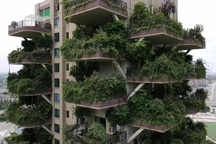 Côn trùng có phải kẻ thù số một của các công trình xanh?