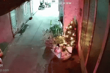 Đưa gia đình đi chơi Noel ở TPHCM, tiện tay trộm quà trang trí
