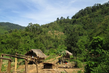 Chủ nhân mảnh vườn có cây chanh liên quan đến vụ thảm sát ở bản Phồng đã tử vong