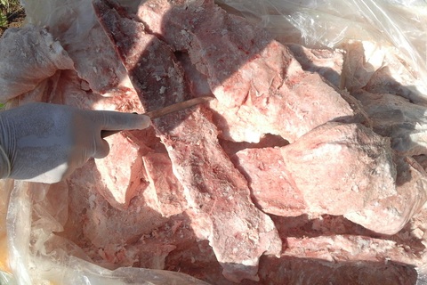 900kg nầm lợn nhập lậu từ Trung Quốc hôi thối, mốc xanh