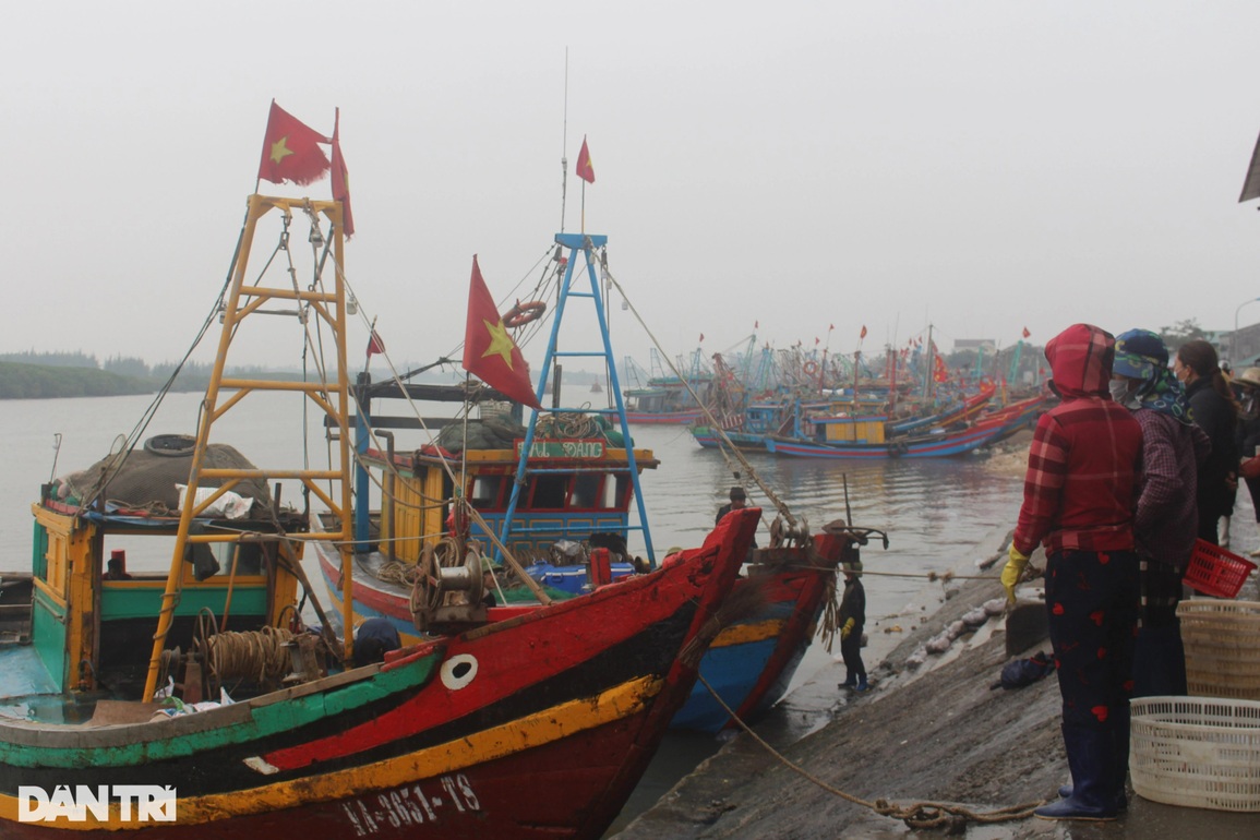 Ngày đầu năm nhộn nhịp tại cảng cá lớn nhất Nghệ An - 3