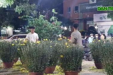 Bình Định: Người bán đập bỏ hoa vì bị ép giá quá đáng