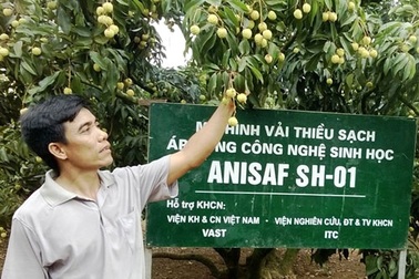 Sẵn sàng xuất khẩu nông sản chính ngạch sang Trung Quốc