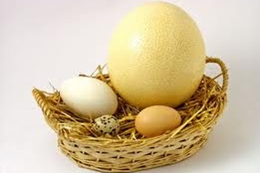 “Trứng rất tốt cho sức khỏe khi ăn đúng và đủ”