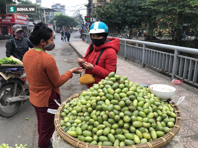 Kiếm tiền triệu mỗi ngày nhờ bán rong quả xanh đầu mùa - Ảnh 5.