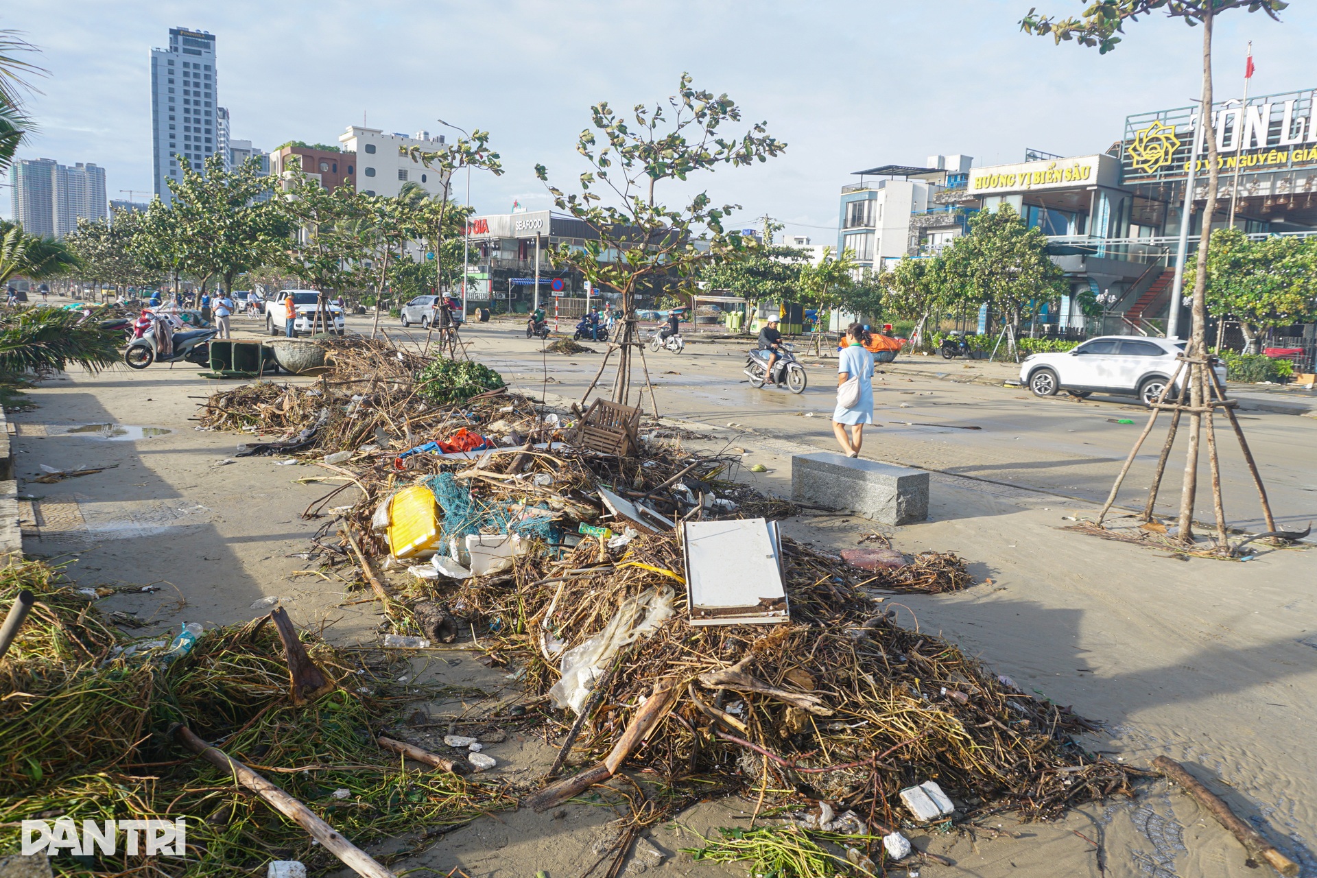 Cây nằm như ngả rạ, đường phố Đà Nẵng ngập rác sau bão số 13 Kalmaegi - 8 Cây nằm như ngả rạ, đường phố Đà Nẵng ngập rác sau bão số 13 Kalmaegi - 8