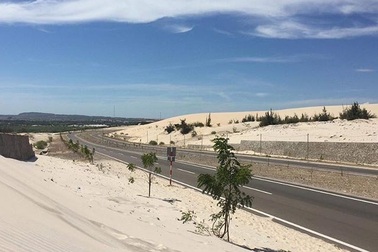 Check in “ốc đảo xanh giữa lòng sa mạc” đang gây sốt ở Bình Thuận