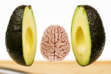 Quả bơ có thể giúp làm chậm quá trình lão hóa não