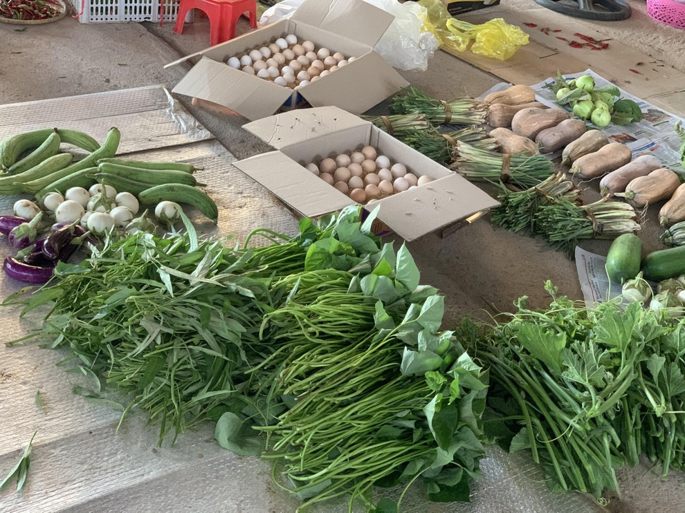 Cô gái Quảng Trị bỏ phố về quê làm nông nghiệp sạch, sống tối giản - 6 Cô gái Quảng Trị bỏ phố về quê làm nông nghiệp sạch, sống tối giản - 6