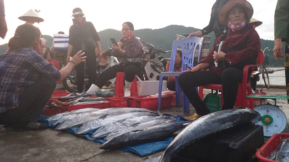 Cận cảnh những mẻ cá khủng kịp cập bến phục vụ rằm tháng 7 - 9 Cận cảnh những mẻ cá khủng kịp cập bến phục vụ rằm tháng 7 - 9