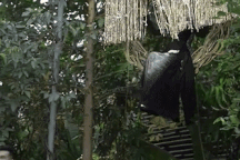 Minh Tú hóa "nàng thơ", lơ lửng trên không trung gây ấn tượng