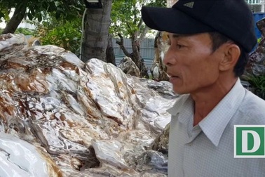Phiến đá nặng hàng chục tấn có 3 loại đá khác nhau