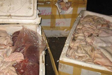 Đường về Hà Nội của thịt thối