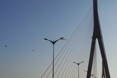 Thả diều quanh cầu Cần Thơ, ẩn hoạ cho người đi đường