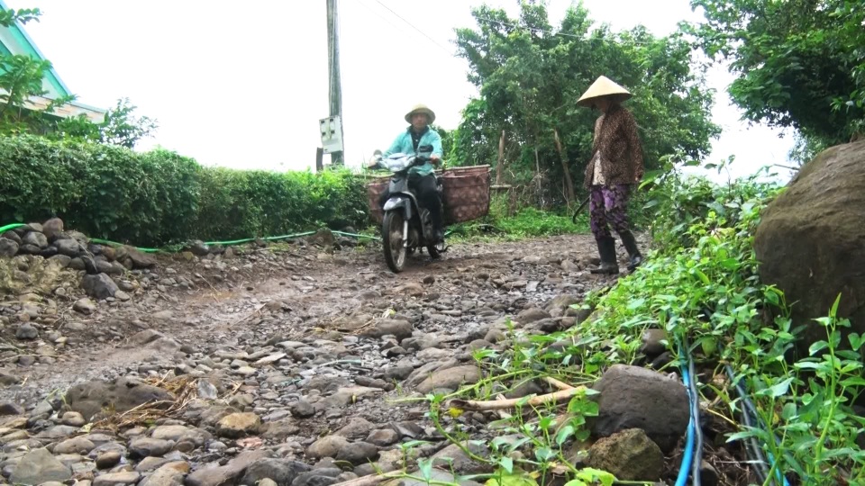 Phú Yên: Hàng ngàn hộ dân ngày đêm mơ có con đường dân sinh - 4 Phú Yên: Hàng ngàn hộ dân ngày đêm mơ có con đường dân sinh - 4