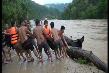 Hàng trăm người dân liều mình lao xuống dòng lũ chảy xiết vớt củi