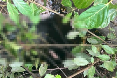 Công an điều tra vụ công nhân tử vong dưới mương