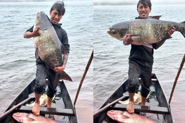 Người dân bắt được "thủy quái" nặng hơn 25kg ở Biển Hồ