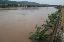 Trung Quốc xả nước, lũ sông Hồng đang lên cao