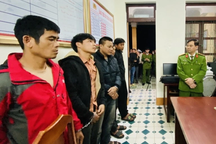 29 người vác cưa vào rừng cắt trộm 40 tấn keo tràm trong đêm