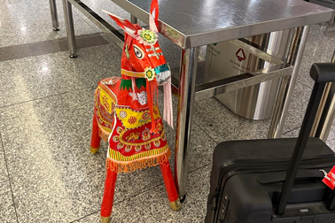 Giống ngựa vàng mã, nhiều loại hành lý ở Tân Sơn Nhất cũng bị bỏ lại