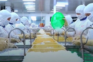 Giá nguyên vật liệu tăng "choáng", từ hộp tôm đến đại dự án đều oằn mình