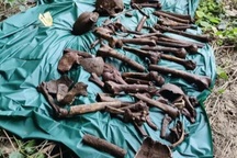 Tình tiết mới vụ nhiều bộ xương trong hang đá ở Nghệ An