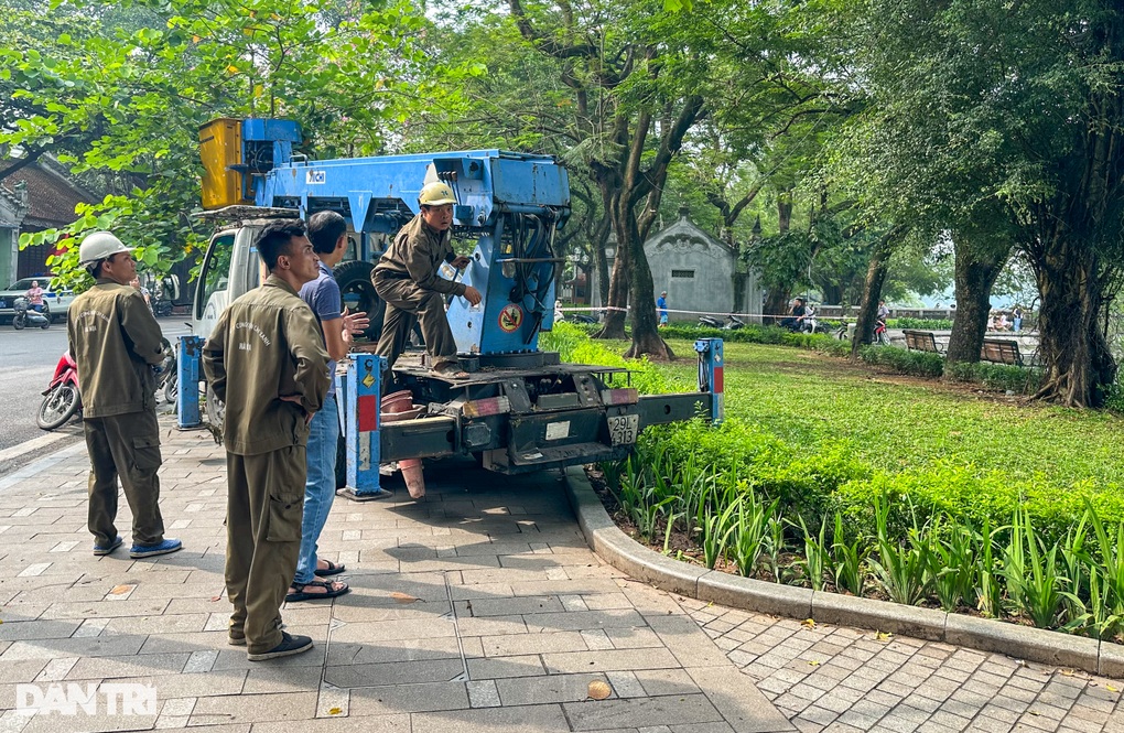 Cận cảnh chặt hạ cây sưa đỏ 100 tuổi bên bờ hồ Hoàn Kiếm - 3 Cận cảnh chặt hạ cây sưa đỏ 100 tuổi bên bờ hồ Hoàn Kiếm - 3