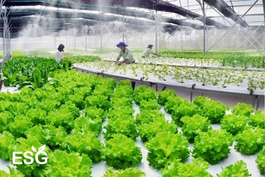 Sếp ngân hàng ngoại nói về ngành "hái ra tiền" của Việt Nam