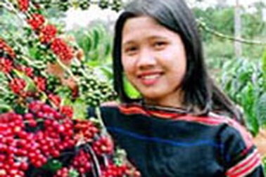 Ngành cà phê với bài học "tiên trách kỷ..."