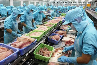 Tại sao lương của người lao động Việt Nam quá thấp?