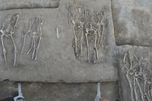 Bí ẩn vụ thảm sát kinh hoàng xảy ra cách đây 4.000 năm