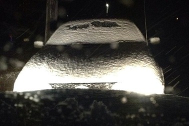 Xứ sở chuột túi đẹp mơ màng trong trận tuyết đầu mùa