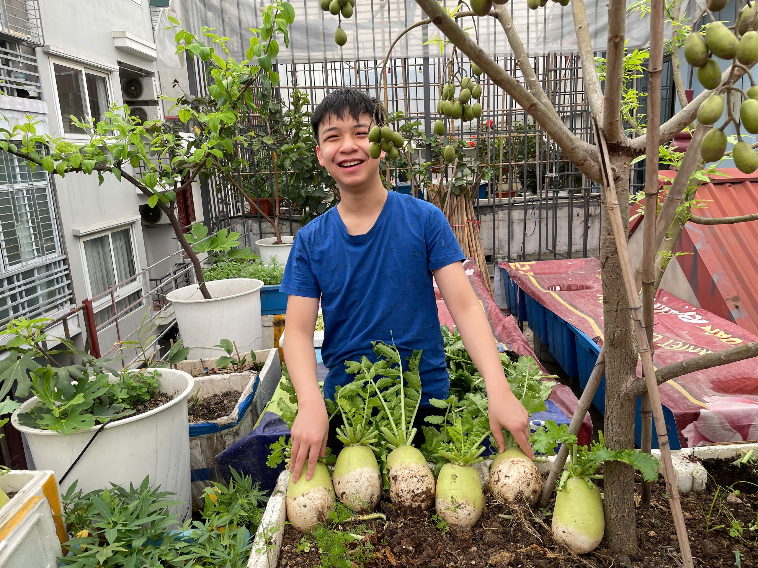 View - Vợ vác đất leo 6 tầng làm vườn, chồng chi 300 triệu sửa nhà trồng rau sạch | Báo Dân trí