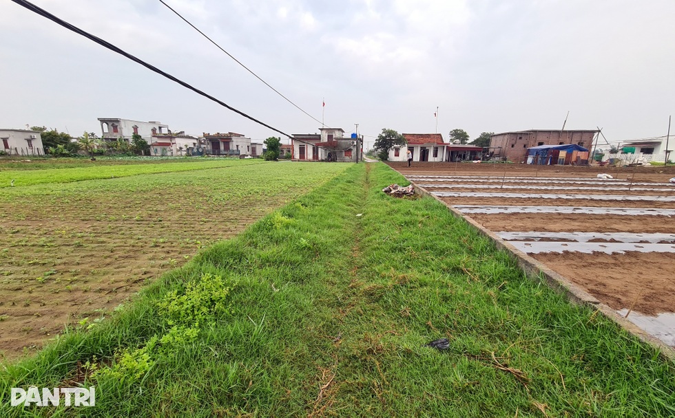 Lão nông bất ngờ thành tỷ phú và câu chuyện đất đai khuấy đảo vùng quê - 6 Lão nông bất ngờ thành tỷ phú và câu chuyện đất đai khuấy đảo vùng quê - 6