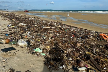 Rác đại dương phủ kín hơn 3km bờ biển Vũng Tàu