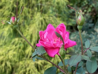 Đánh giá iPhone Air: Người dùng phải đổi gì lấy vẻ đẹp “siêu mỏng”? - 9 Đánh giá iPhone Air: Người dùng phải đổi gì lấy vẻ đẹp “siêu mỏng”? - 9