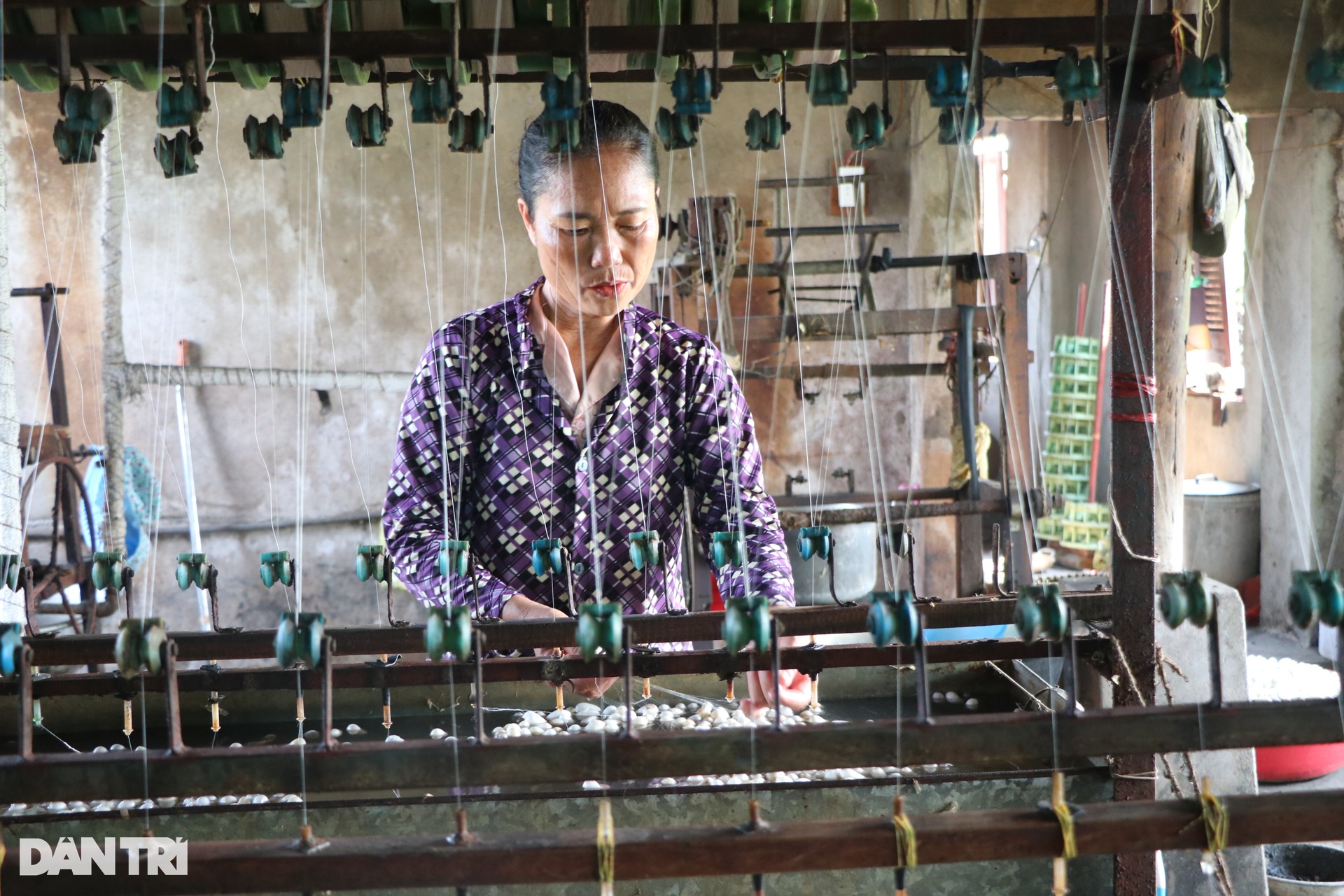 Nuôi con ăn lên, nông dân vùng biển thu nhập gấp hàng chục lần trồng lúa - 10