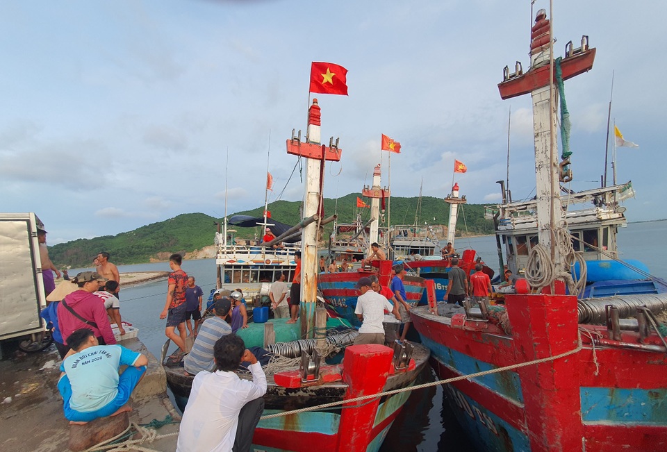 Chạy bão ngư dân vẫn trúng mẻ cá dũa thu hàng chục triệu đồng - 2 Chạy bão ngư dân vẫn trúng mẻ cá dũa thu hàng chục triệu đồng - 2