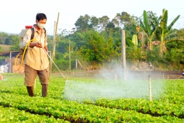 Quá nhiều nông dân tiếp xúc trực tiếp với thuốc bảo vệ thực vật