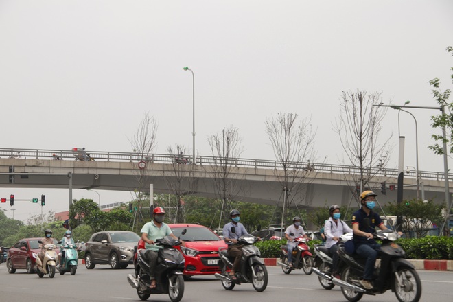 Nắng nóng thiêu đốt hàng trăm cây phong lá đỏ sống như chết khô - 8 Nắng nóng thiêu đốt hàng trăm cây phong lá đỏ sống như chết khô - 8