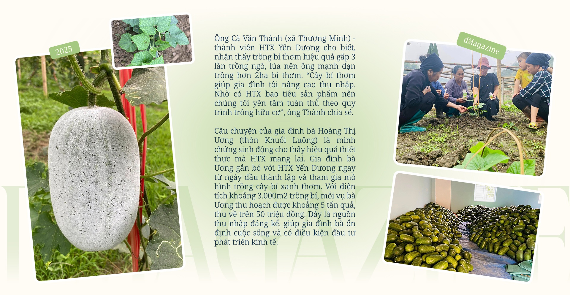 Hợp tác xã - mở lối thoát nghèo cho phụ nữ dân tộc thiểu số - 13