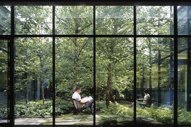 Dự án căn hộ hạng sang tại quận 7, TP. HCM sở hữu 99 khu vườn nhiệt đới trong lòng các tòa tháp