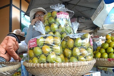 Hồng Trung Quốc "giết" hồng Đà Lạt