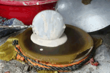 Nắng lên, làng bánh tráng Phú Triêm rực lửa đón Tết